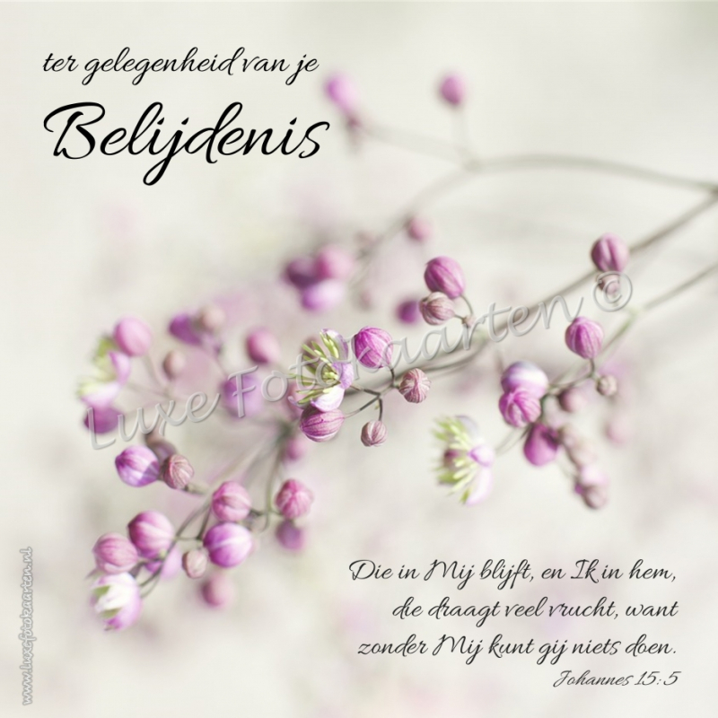 Belijdenis - bloesem gedicht